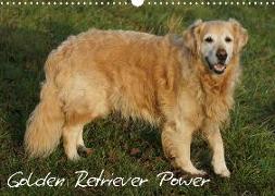 Golden Retriever Power (Wandkalender 2020 DIN A3 quer)