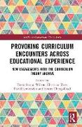 Provoking Curriculum Encounters Across Educational Experience