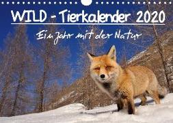 WILD - Tierkalender 2020 (Wandkalender 2020 DIN A4 quer)