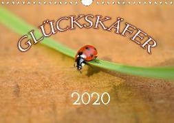 Marienkäfer 2020 (Wandkalender 2020 DIN A4 quer)