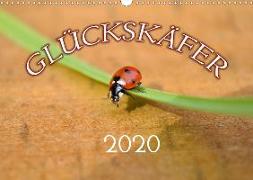 Marienkäfer 2020 (Wandkalender 2020 DIN A3 quer)