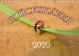 Marienkäfer 2020 (Tischkalender 2020 DIN A5 quer)