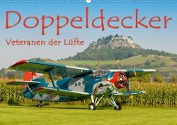 Doppeldecker - Veteranen der Lüfte (Wandkalender 2020 DIN A2 quer)