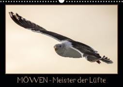 Möwen - Meister der Lüfte (Wandkalender 2020 DIN A3 quer)