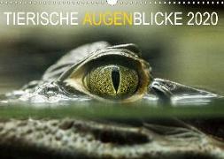 Tierische Augenblicke 2020 (Wandkalender 2020 DIN A3 quer)