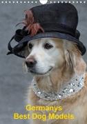 Germanys Best Dog Models - gestylte Labrador und Golden Retriever (Wandkalender 2020 DIN A4 hoch)