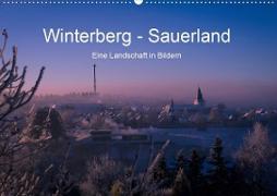 Winterberg - Sauerland - Eine Landschaft in Bildern (Wandkalender 2020 DIN A2 quer)