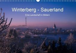 Winterberg - Sauerland - Eine Landschaft in Bildern (Wandkalender 2020 DIN A3 quer)