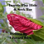Insects Play Hide and Seek Too