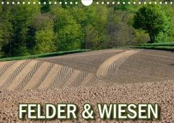 Felder und Wiesen (Wandkalender 2020 DIN A4 quer)