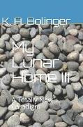 My Lunar Home III: A Totally New Paradigm