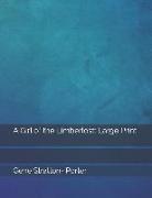 A Girl of the Limberlost: Large Print