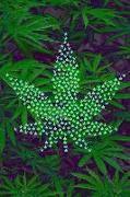 Cannabis: Sativa Indica Plant Leaf Hemp Marijuana Softcover Diary - Lined Writing Journal Notebook - 100 Cream Pages - Cannabino