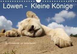 Löwen - Kleine Könige (Wandkalender 2020 DIN A4 quer)
