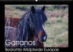 Garranos - Bedrohte Wildpferde Europas (Wandkalender 2020 DIN A2 quer)