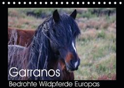 Garranos - Bedrohte Wildpferde Europas (Tischkalender 2020 DIN A5 quer)