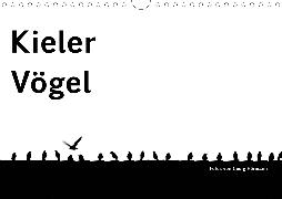 Kieler Vögel (Wandkalender 2020 DIN A4 quer)