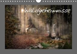 Waldgeheimnisse (Wandkalender 2020 DIN A4 quer)
