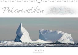 Polarwelten (Wandkalender 2020 DIN A4 quer)