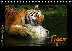 Welt der Katzen - Tiger (Tischkalender 2020 DIN A5 quer)