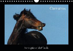 Garranos (Wandkalender 2020 DIN A4 quer)