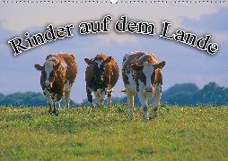 Rinder auf dem Lande (Wandkalender 2020 DIN A2 quer)