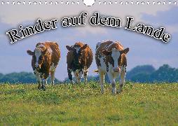 Rinder auf dem Lande (Wandkalender 2020 DIN A4 quer)