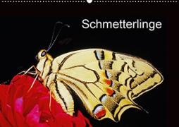 Schmetterlinge (Wandkalender 2020 DIN A2 quer)