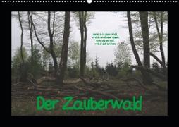 Der Zauberwald (Wandkalender 2020 DIN A2 quer)