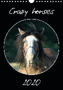 Crazy horses (Wandkalender 2020 DIN A4 hoch)