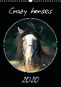 Crazy horses (Wandkalender 2020 DIN A3 hoch)