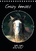 Crazy horses (Tischkalender 2020 DIN A5 hoch)