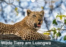 Wilde Tiere am Luangwa (Wandkalender 2020 DIN A4 quer)