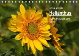 Helianthus (Tischkalender 2020 DIN A5 quer)