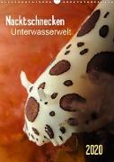 Nacktschnecken - Unterwasserwelt 2020 (Wandkalender 2020 DIN A3 hoch)