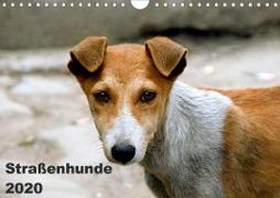 Straßenhunde (Wandkalender 2020 DIN A4 quer)