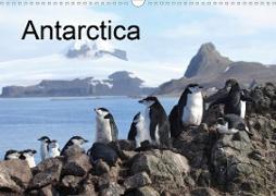Antarctica (UK - Version) (Wall Calendar 2020 DIN A3 Landscape)
