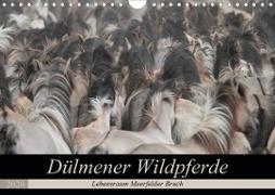 Dülmener Wildpferde - Lebensraum Meerfelder Bruch (Wandkalender 2020 DIN A4 quer)