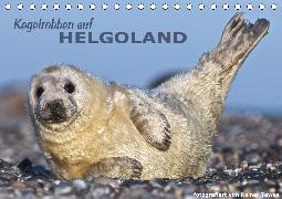 Kegelrobben auf Helgoland (Tischkalender 2020 DIN A5 quer)