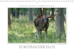 Emotionale Momente: Europäischer Elch. (Wandkalender 2020 DIN A4 quer)