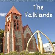 The Falklands (Wall Calendar 2020 300 × 300 mm Square)