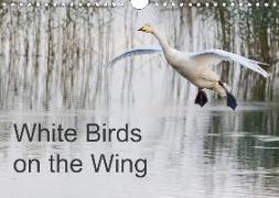 White Birds on the Wing (Wall Calendar 2020 DIN A4 Landscape)