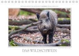 Emotionale Momente: Das Wildschwein. (Tischkalender 2020 DIN A5 quer)
