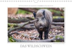 Emotionale Momente: Das Wildschwein. (Wandkalender 2020 DIN A4 quer)