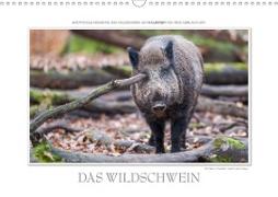 Emotionale Momente: Das Wildschwein. (Wandkalender 2020 DIN A3 quer)