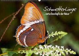 Schmetterlinge - zarte Geschöpfe der Natur (Wandkalender 2020 DIN A2 quer)