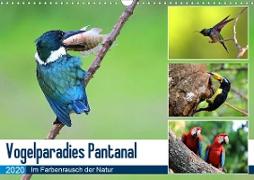 Vogelparadies Pantanal (Wandkalender 2020 DIN A3 quer)