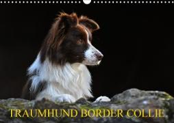 Traumhund Border Collie (Wandkalender 2020 DIN A3 quer)
