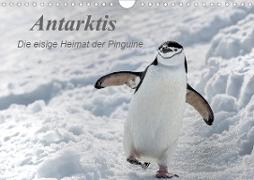 Antarktis, die eisige Heimat der Pinguine (Wandkalender 2020 DIN A4 quer)