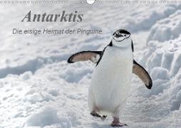 Antarktis, die eisige Heimat der Pinguine (Wandkalender 2020 DIN A3 quer)